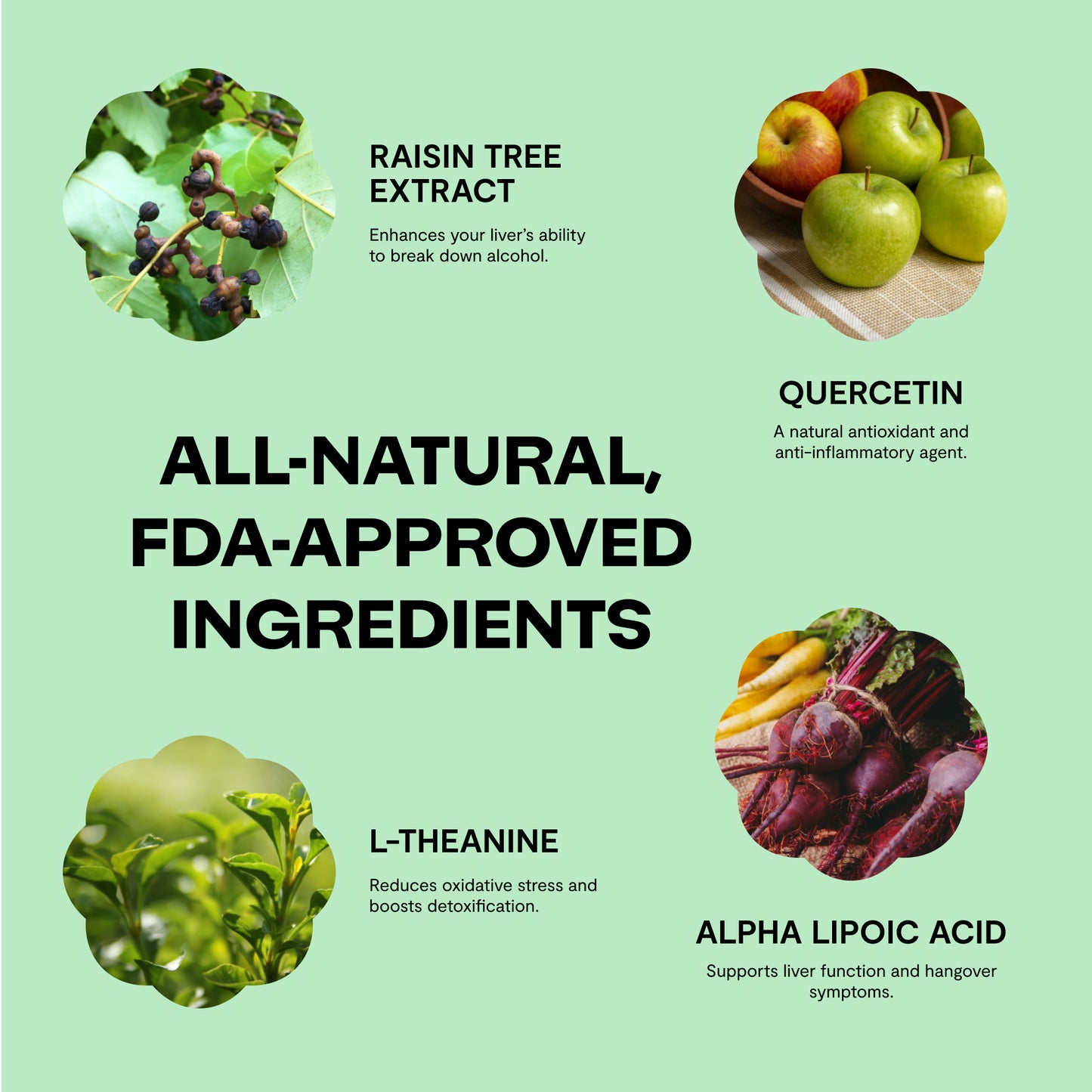 Ando Anti-Alcohol Flush Gummy